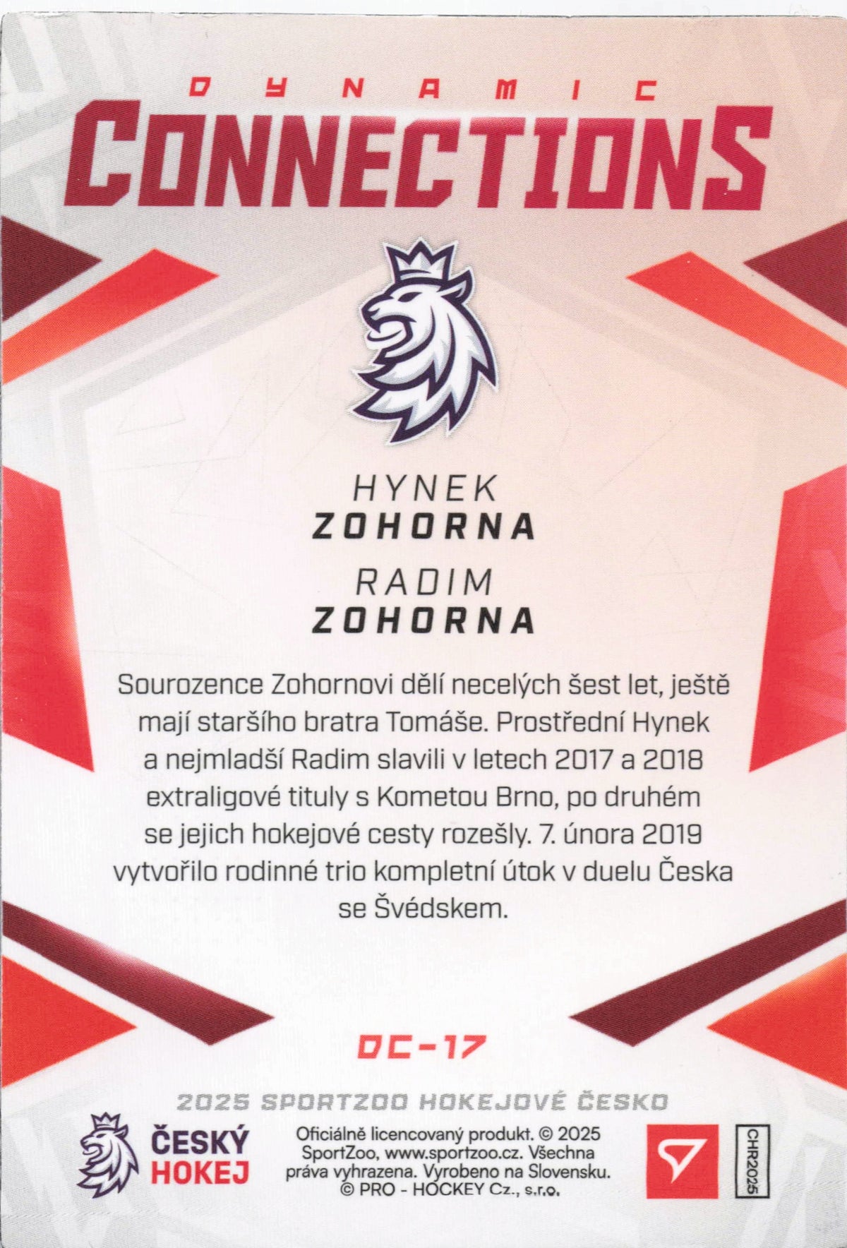 Dynamic Connections - H. Zohorna/ R. Zohorna