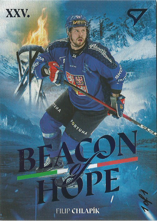 1/1 Beacon of Hope - Chlapík
