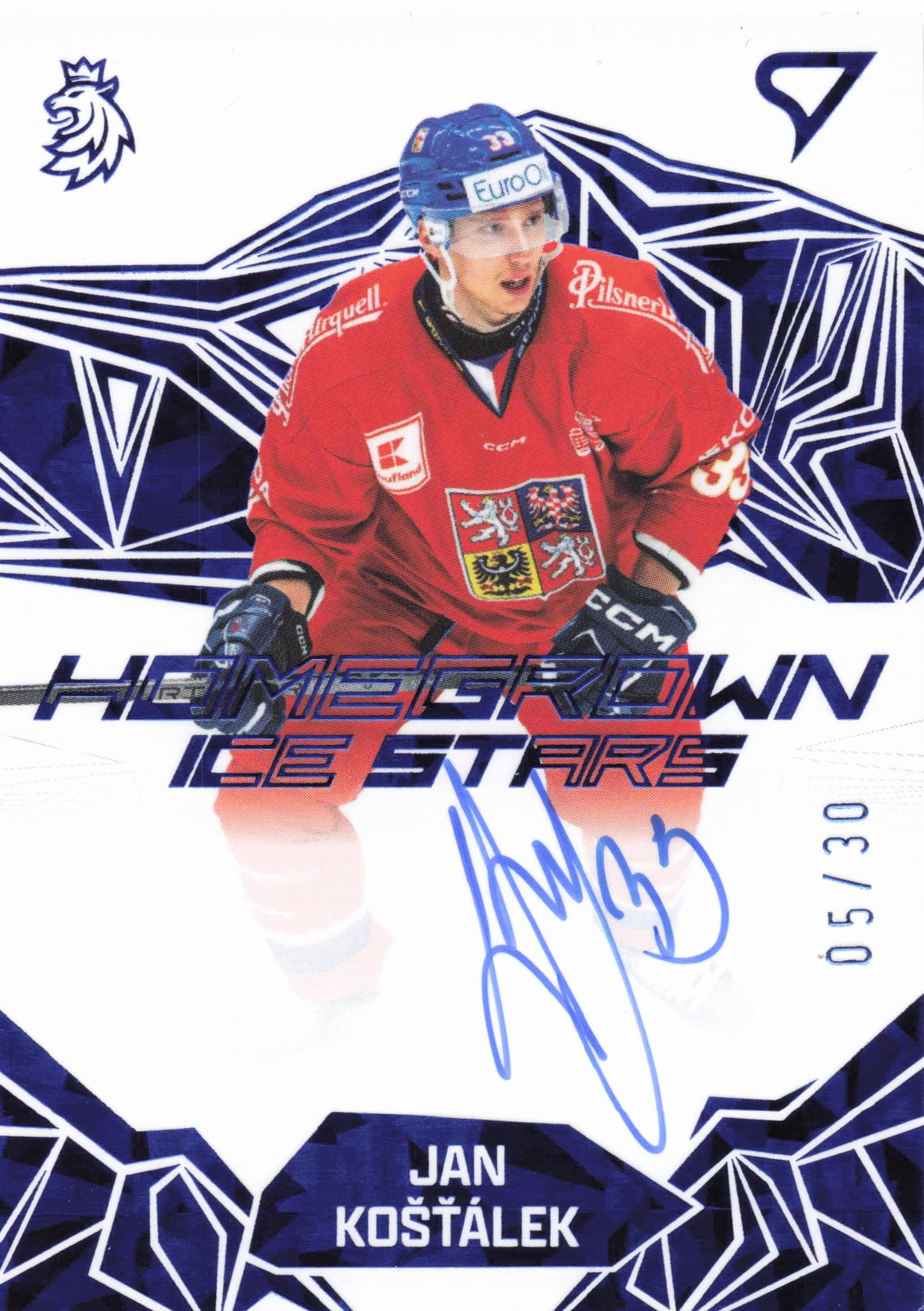 Homegrown Ice Stars /30 - Košťálek