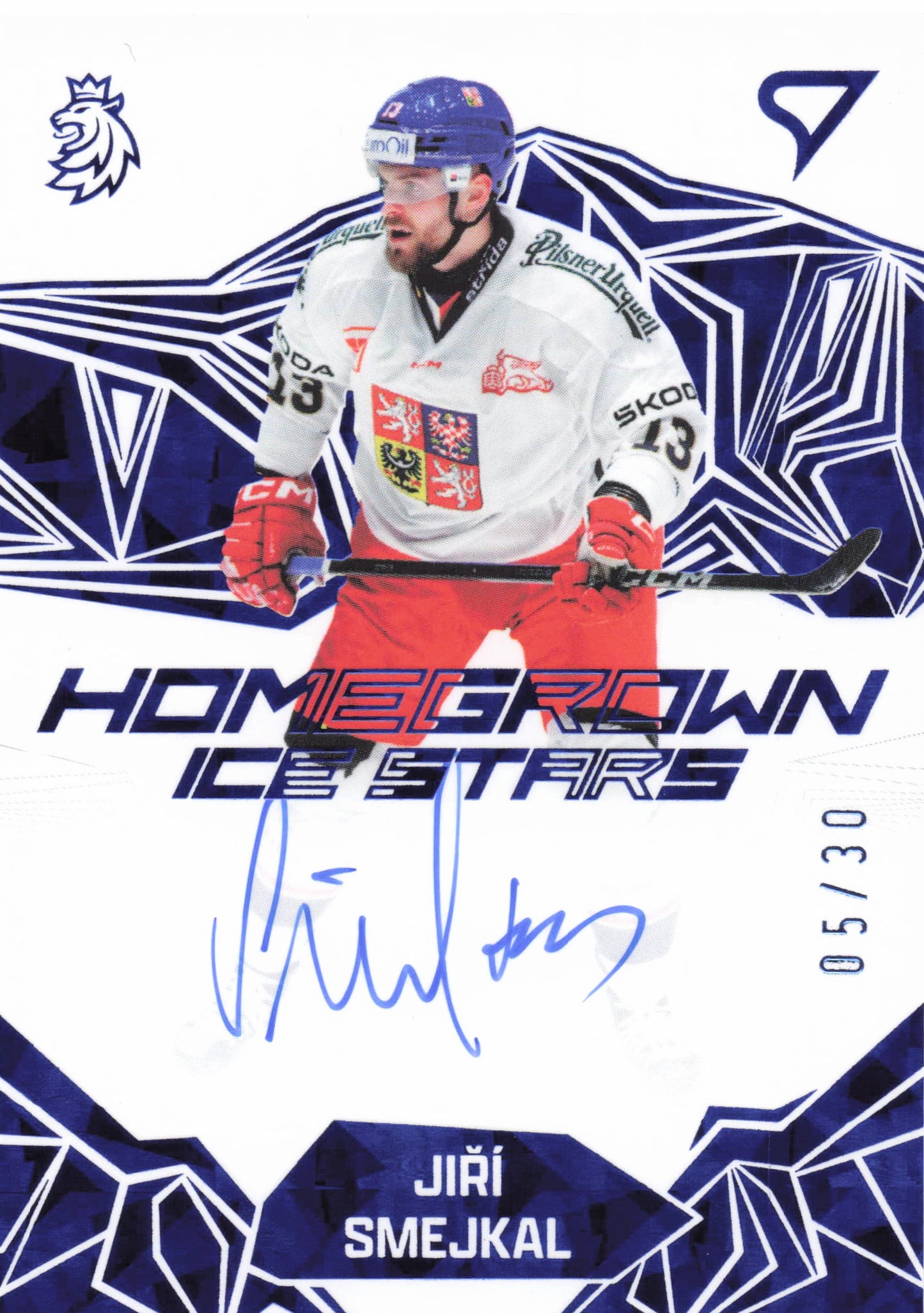Homegrown Ice Stars /30 - Smejkal