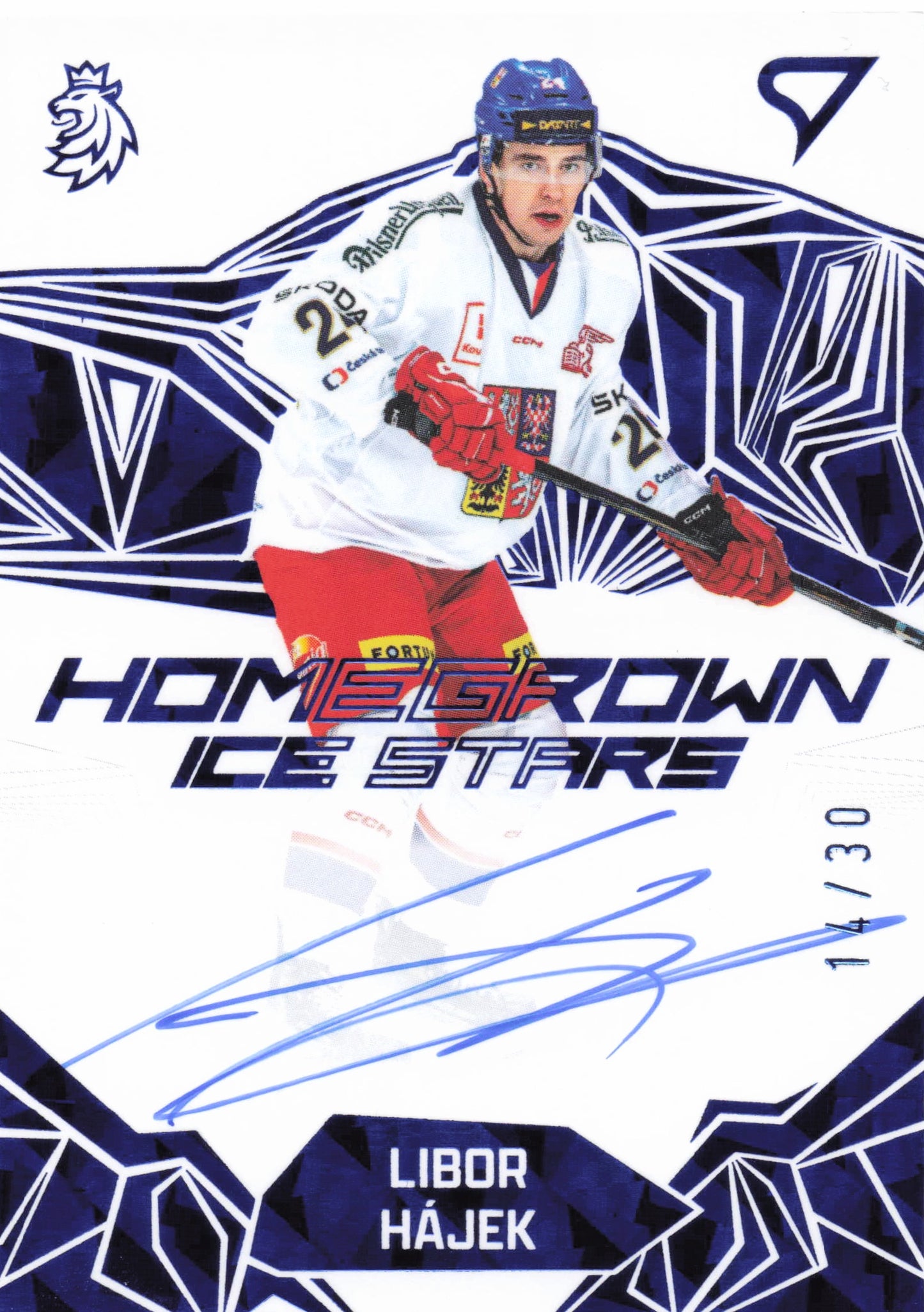 Homegrown Ice Stars /30 - Hájek