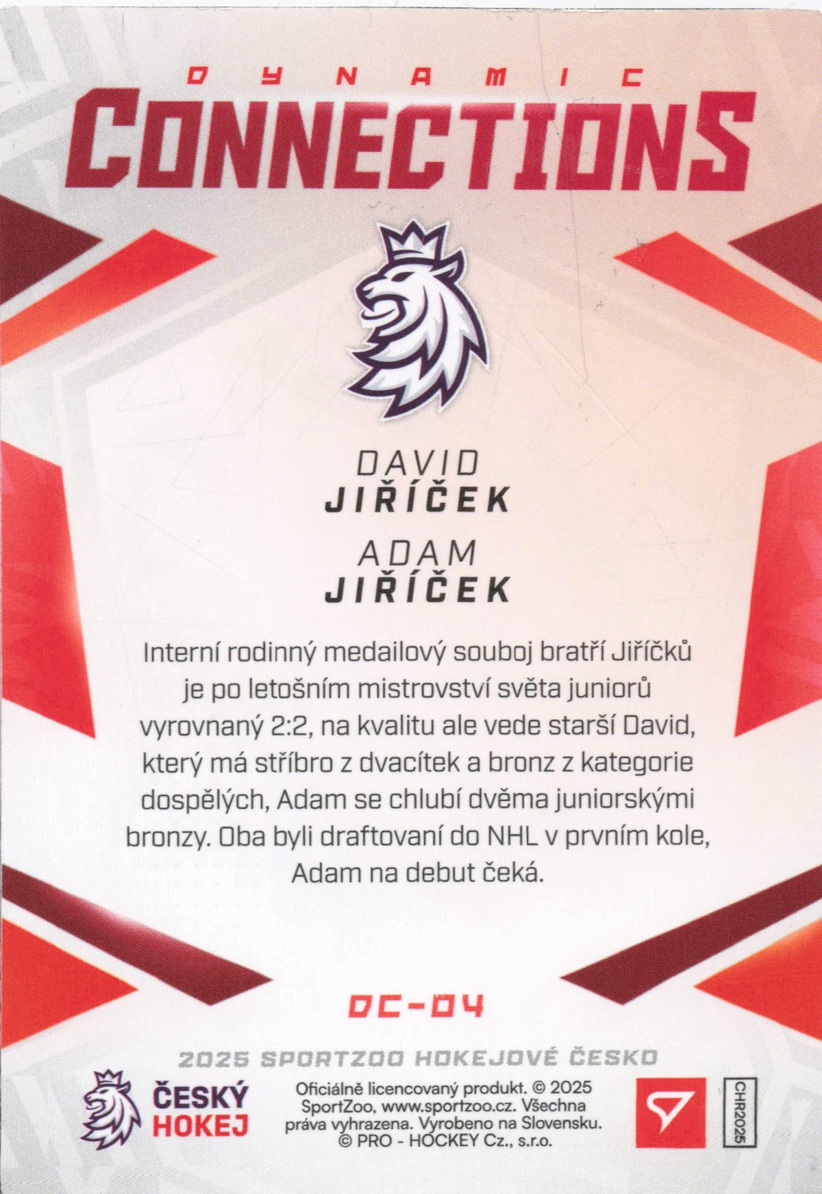 Dynamic Connections - A. Jiříček/ D. Jiříček