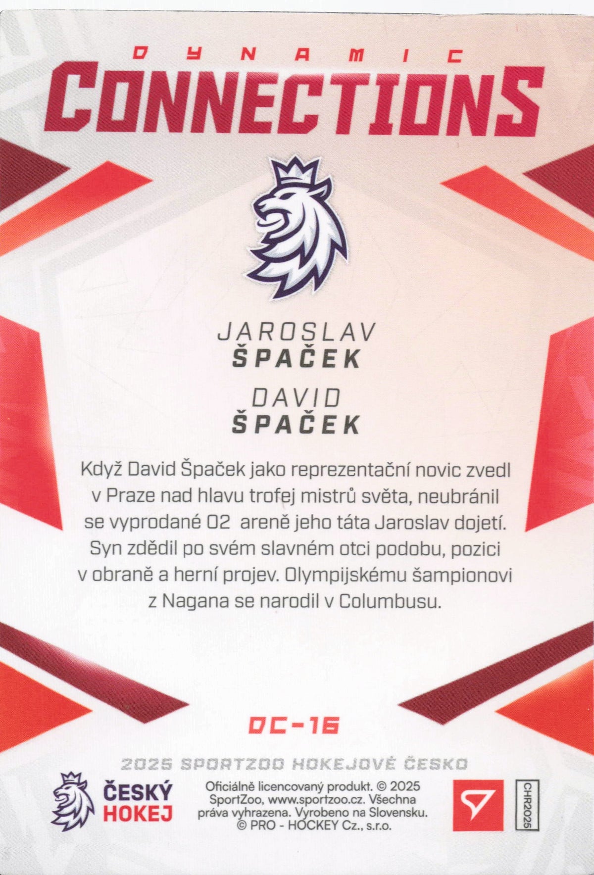 Dynamic Connections - J. Špaček/ D. Špaček