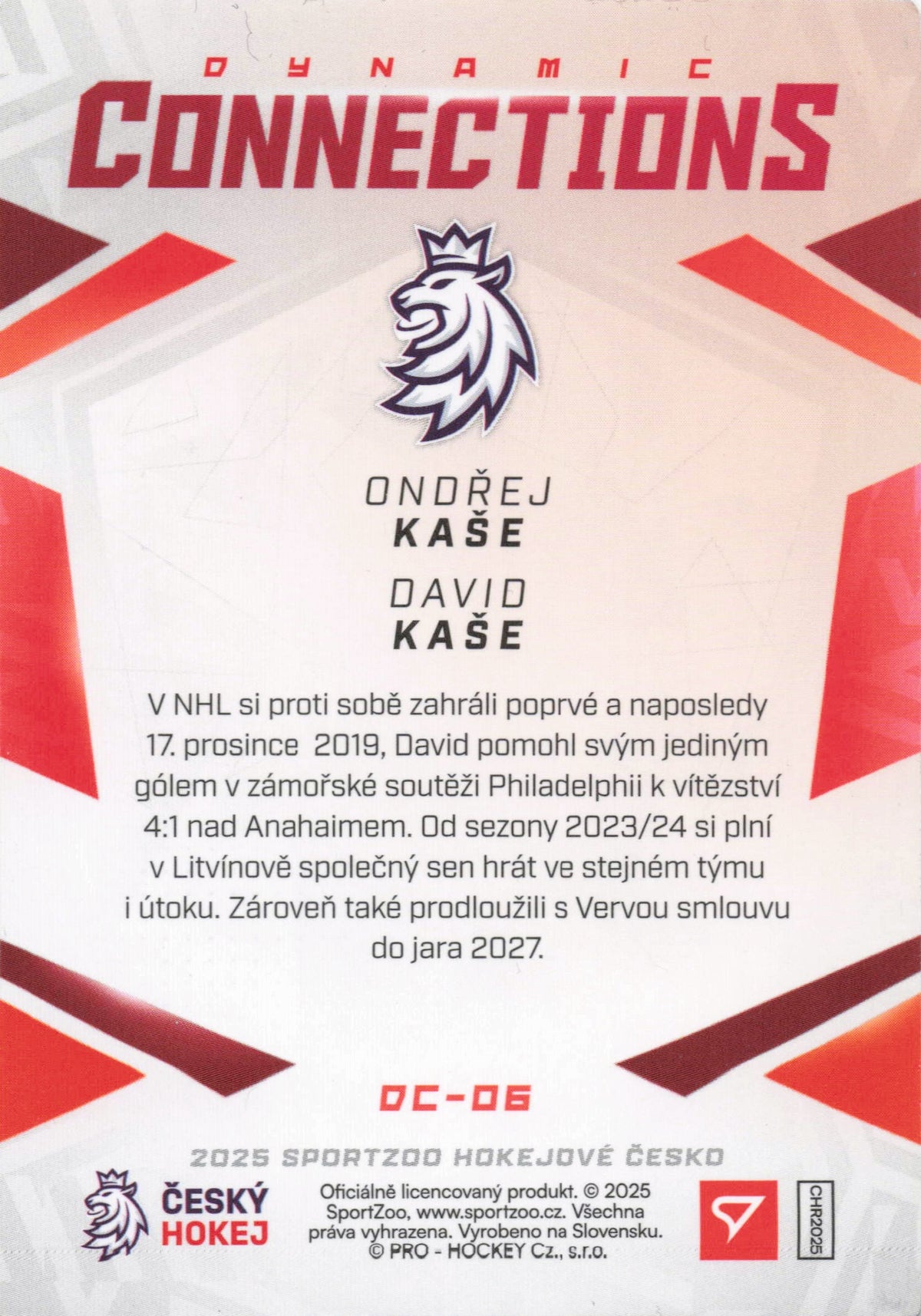 Dynamic Connections - O. Kaše/ D. Kaše