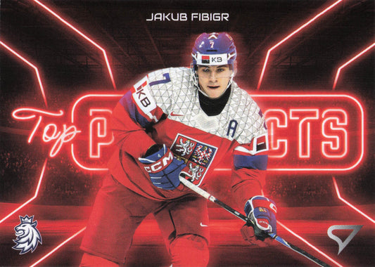 Top Prospects - 05 - Fibigr