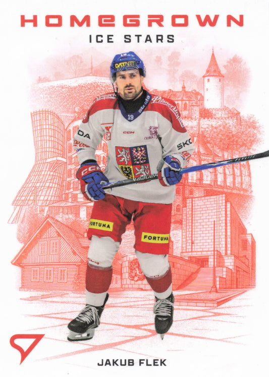 Homegrown Ice Stars - 16 - Flek