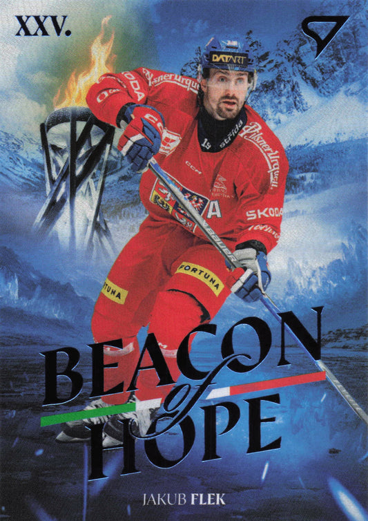Beacon of Hope - 16 - Flek