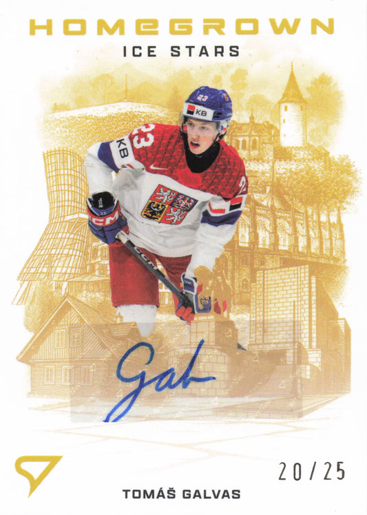 Homegrown Ice Stars Limit /25 - Galvas