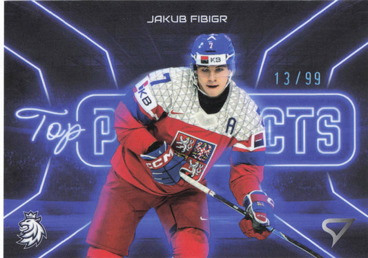 Top Prospect Limit /99 - 05 - Fibigr