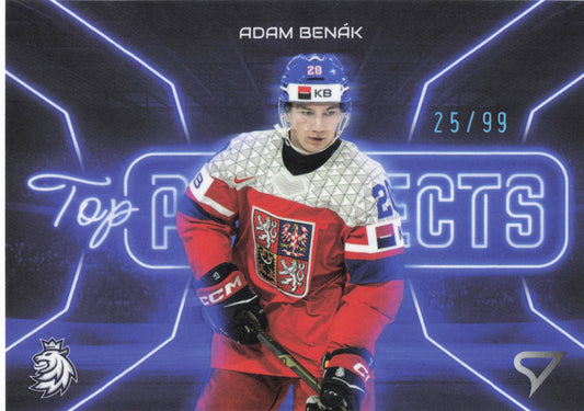 Top Prospect Limit /99 - 16 - Benák