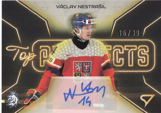 Top Prospects Limit /39 - Nestrašil