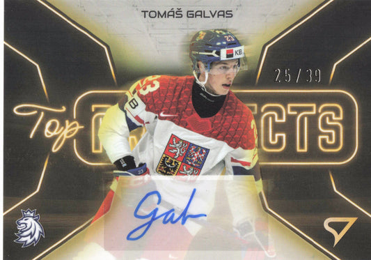 Top Prospects Limit /39 - Galvas