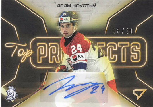Top Prospects Limit /39 - Novotný